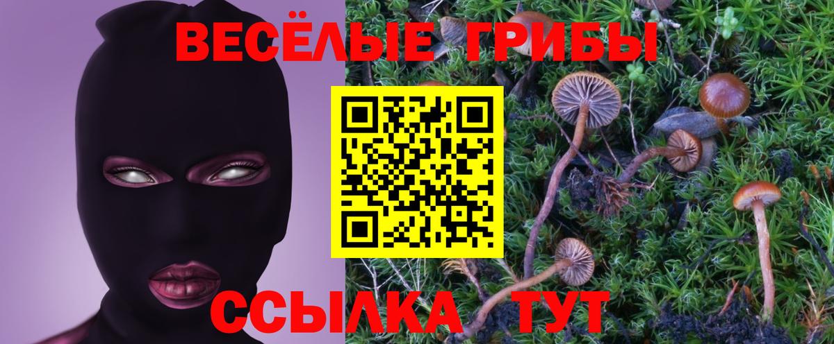 Псилоцибиновые грибы мицелий Костомукша